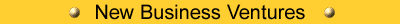 New Business Ventures